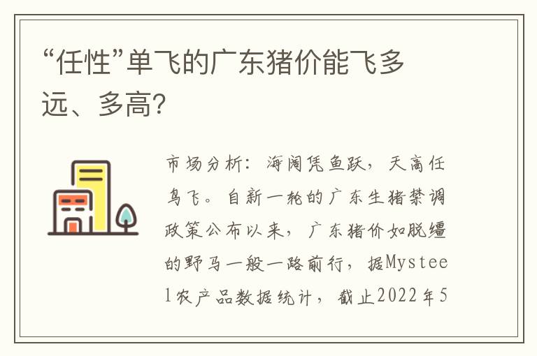 “任性”单飞的广东猪价能飞多远、多高？