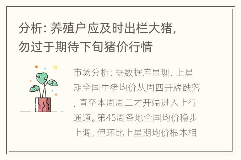 分析：养殖户应及时出栏大猪，勿过于期待下旬猪价行情