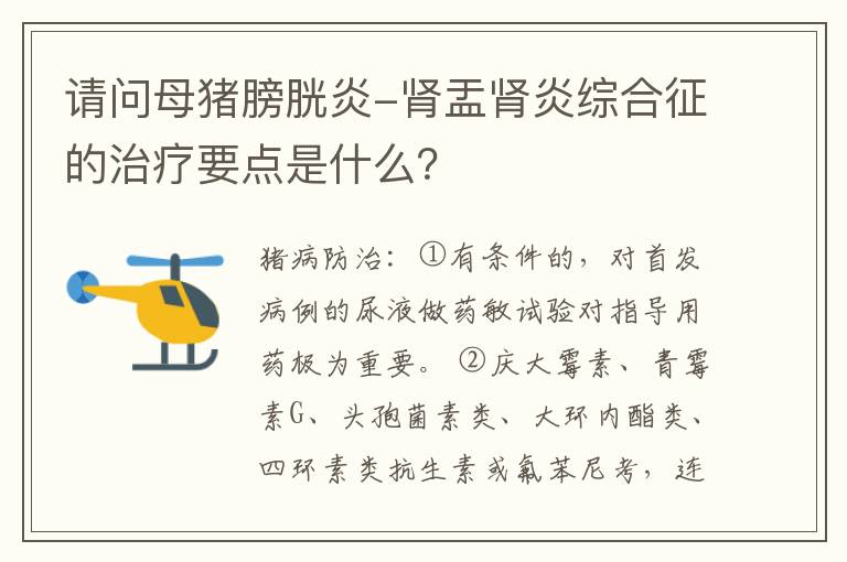 请问母猪膀胱炎-肾盂肾炎综合征的治疗要点是什么？