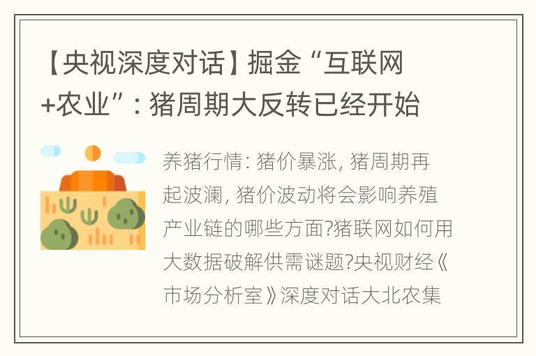 【央视深度对话】掘金“互联网+农业”：猪周期大反转已经开始!