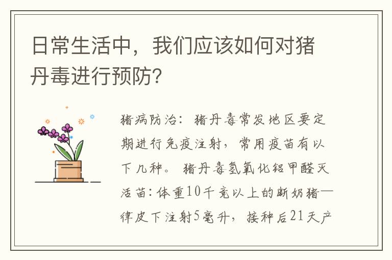 日常生活中，我们应该如何对猪丹毒进行预防？