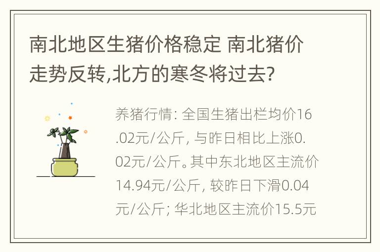 南北地区生猪价格稳定 南北猪价走势反转,北方的寒冬将过去?