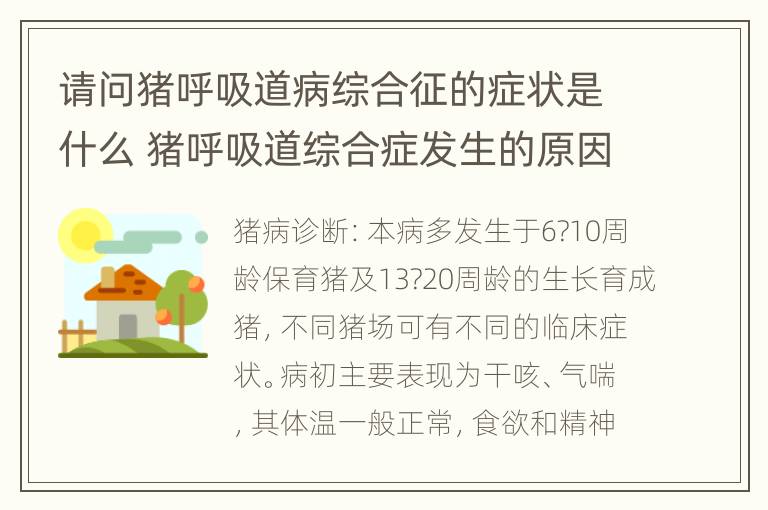 请问猪呼吸道病综合征的症状是什么 猪呼吸道综合症发生的原因