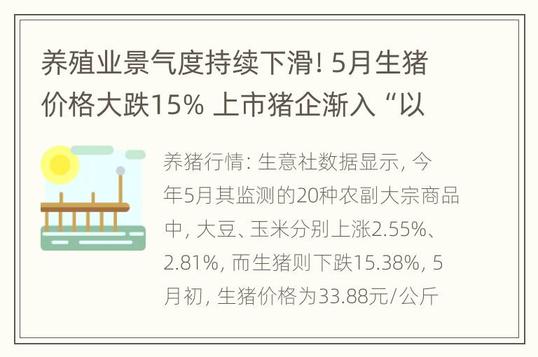 养殖业景气度持续下滑！5月生猪价格大跌15% 上市猪企渐入“以量