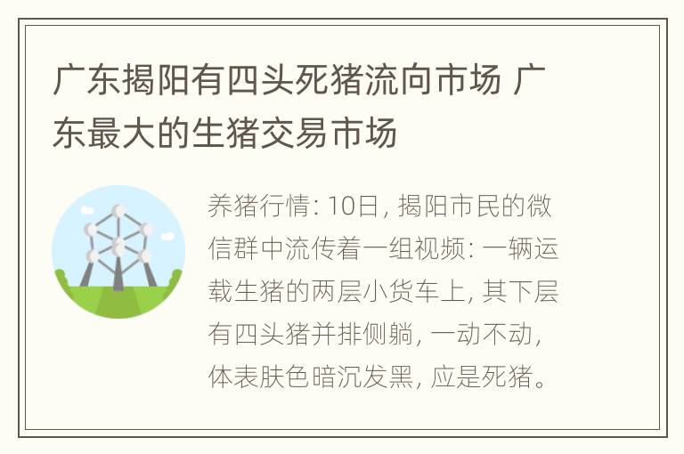 广东揭阳有四头死猪流向市场 广东最大的生猪交易市场