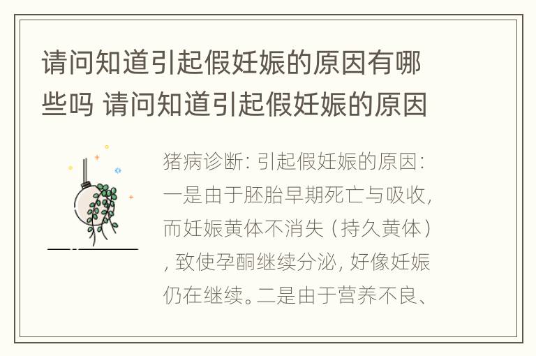 请问知道引起假妊娠的原因有哪些吗 请问知道引起假妊娠的原因有哪些吗