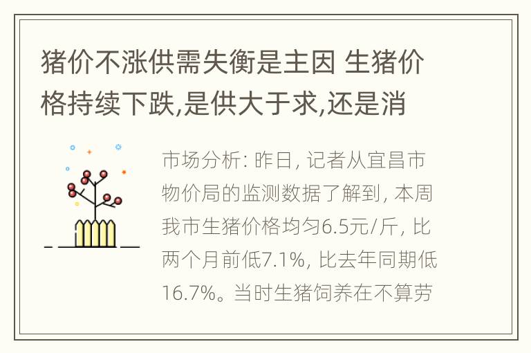 猪价不涨供需失衡是主因 生猪价格持续下跌,是供大于求,还是消费不足?