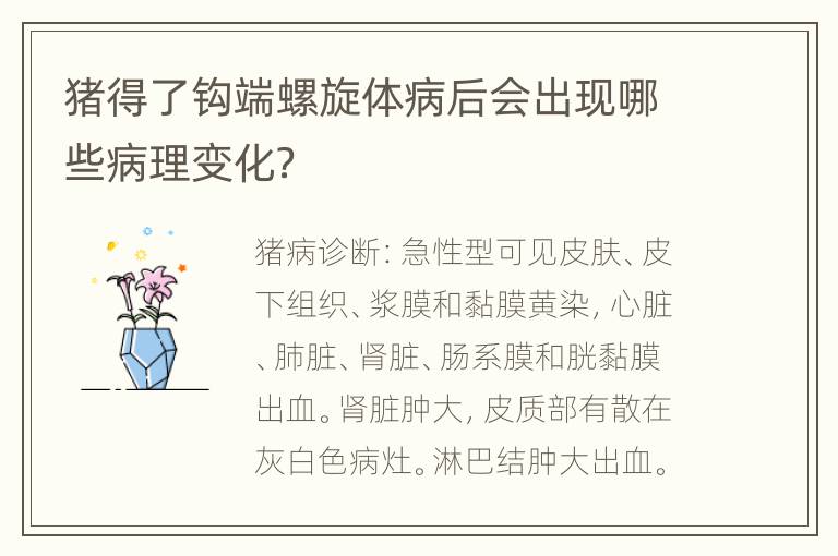 猪得了钩端螺旋体病后会出现哪些病理变化？