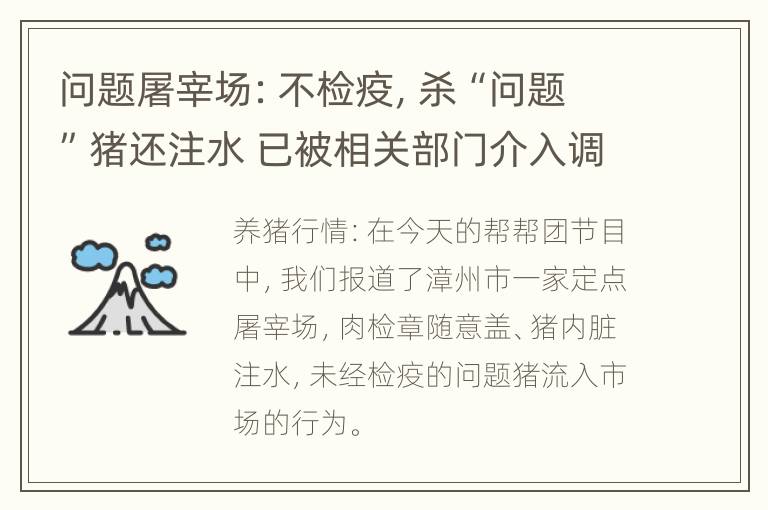 问题屠宰场：不检疫，杀“问题”猪还注水 已被相关部门介入调查