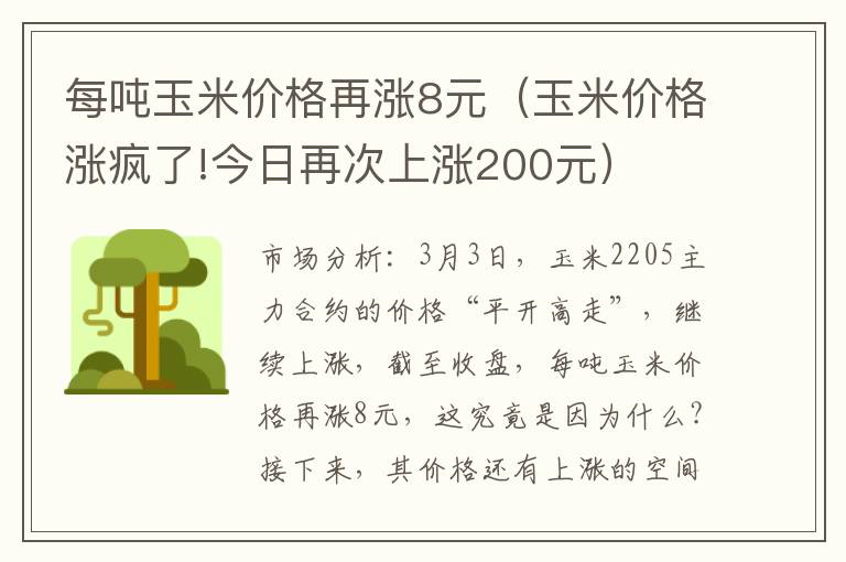 每吨玉米价格再涨8元（玉米价格涨疯了!今日再次上涨200元）