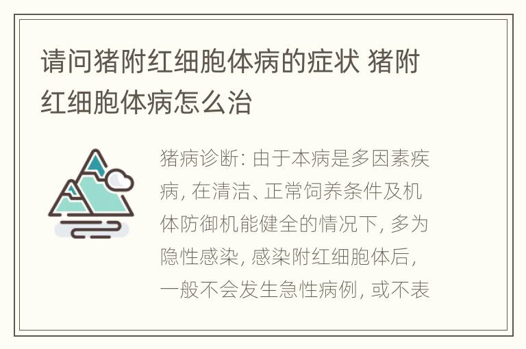 请问猪附红细胞体病的症状 猪附红细胞体病怎么治