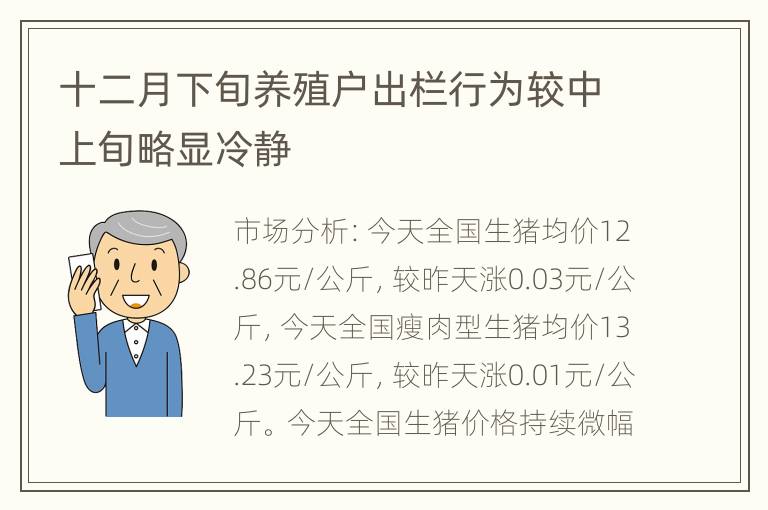 十二月下旬养殖户出栏行为较中上旬略显冷静