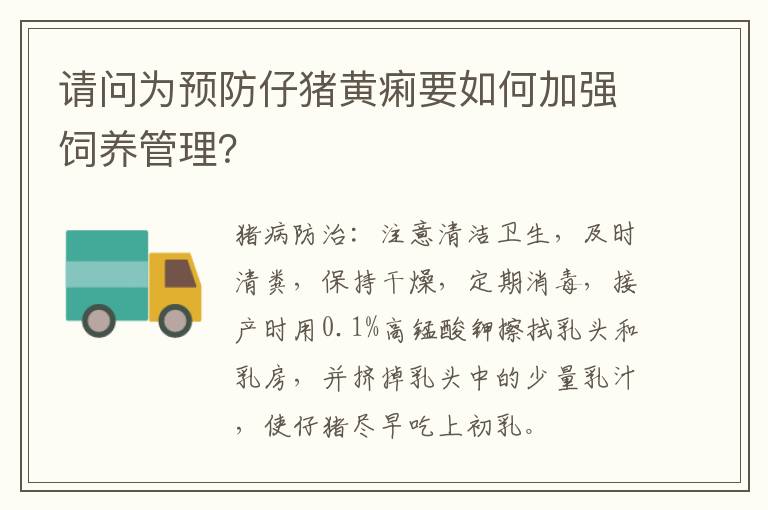 请问为预防仔猪黄痢要如何加强饲养管理？