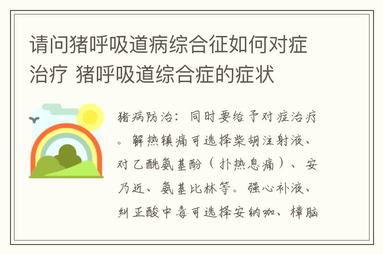 请问猪呼吸道病综合征如何对症治疗 猪呼吸道综合症的症状