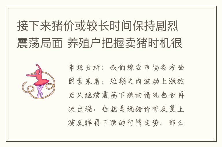 接下来猪价或较长时间保持剧烈震荡局面 养殖户把握卖猪时机很重大