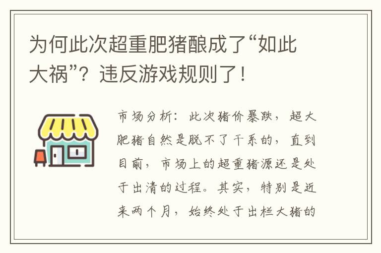 为何此次超重肥猪酿成了“如此大祸”？违反游戏规则了！