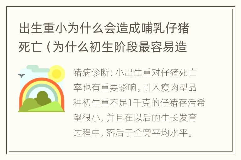 出生重小为什么会造成哺乳仔猪死亡（为什么初生阶段最容易造成仔猪死亡）