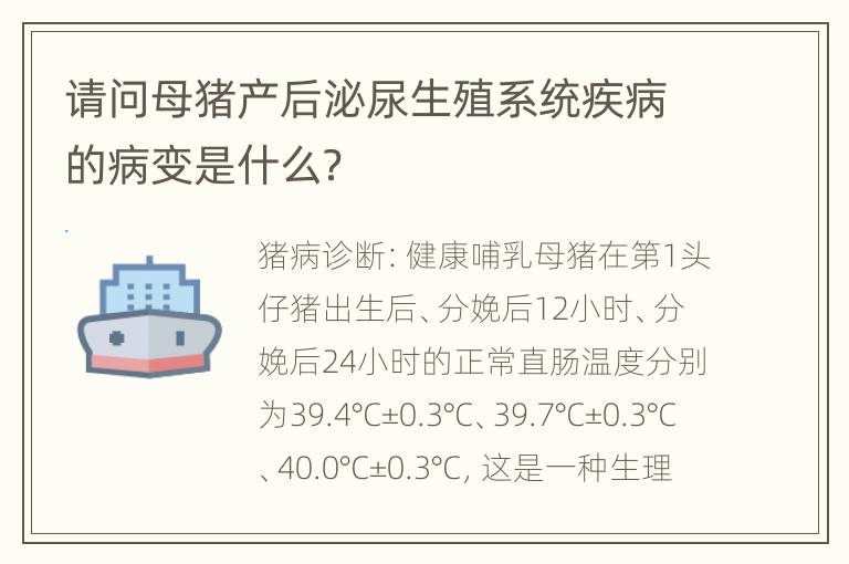 请问母猪产后泌尿生殖系统疾病的病变是什么？