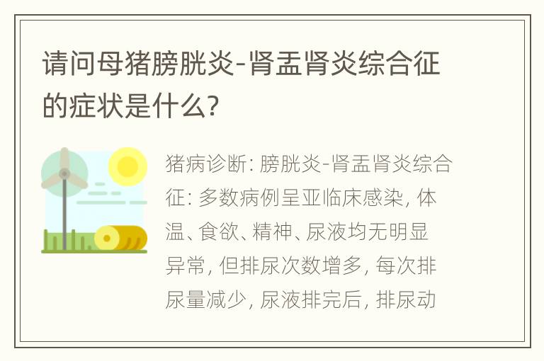 请问母猪膀胱炎-肾盂肾炎综合征的症状是什么？