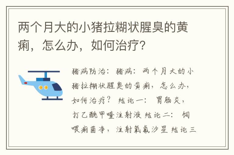 两个月大的小猪拉糊状腥臭的黄痢，怎么办，如何治疗？