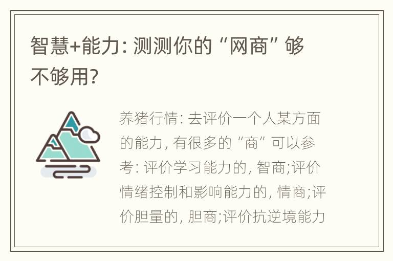 智慧+能力：测测你的“网商”够不够用？