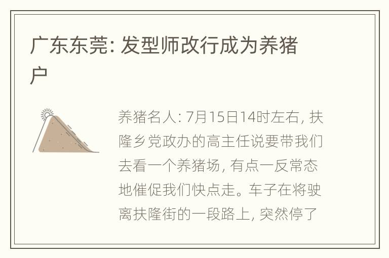 广东东莞：发型师改行成为养猪户