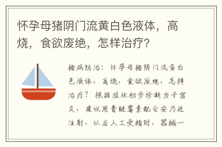 怀孕母猪阴门流黄白色液体，高烧，食欲废绝，怎样治疗？