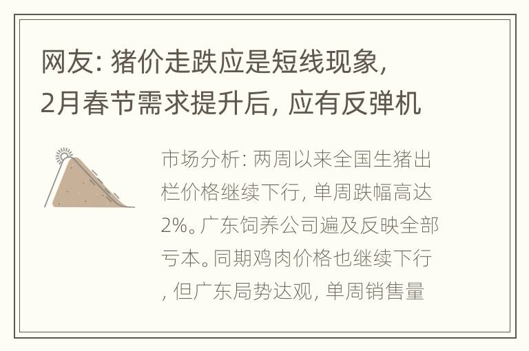 网友：猪价走跌应是短线现象，2月春节需求提升后，应有反弹机会