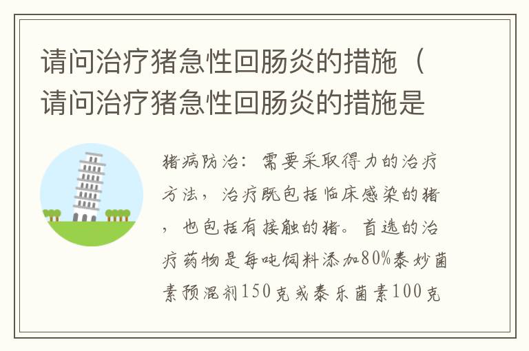 请问治疗猪急性回肠炎的措施（请问治疗猪急性回肠炎的措施是）