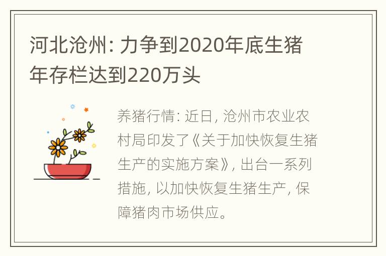 河北沧州：力争到2020年底生猪年存栏达到220万头