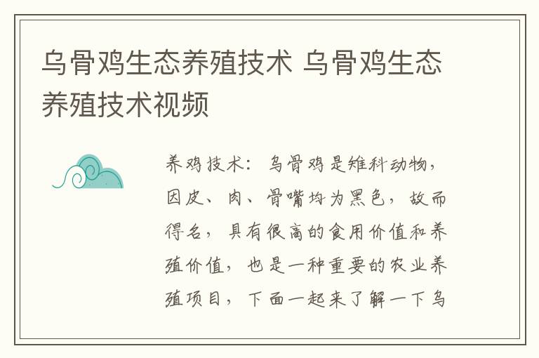 乌骨鸡生态养殖技术 乌骨鸡生态养殖技术视频