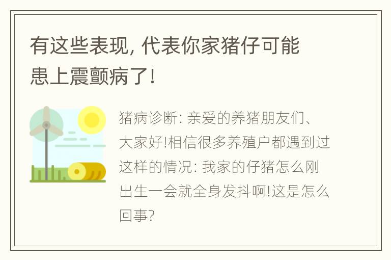 有这些表现，代表你家猪仔可能患上震颤病了！