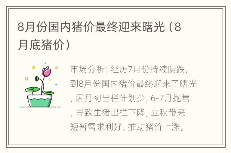 8月份国内猪价最终迎来曙光（8月底猪价）