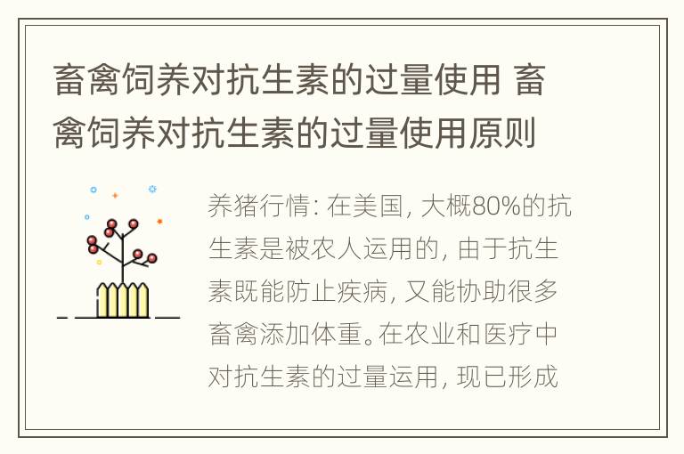 畜禽饲养对抗生素的过量使用 畜禽饲养对抗生素的过量使用原则