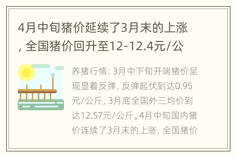 4月中旬猪价延续了3月末的上涨，全国猪价回升至12-12.4元/公斤