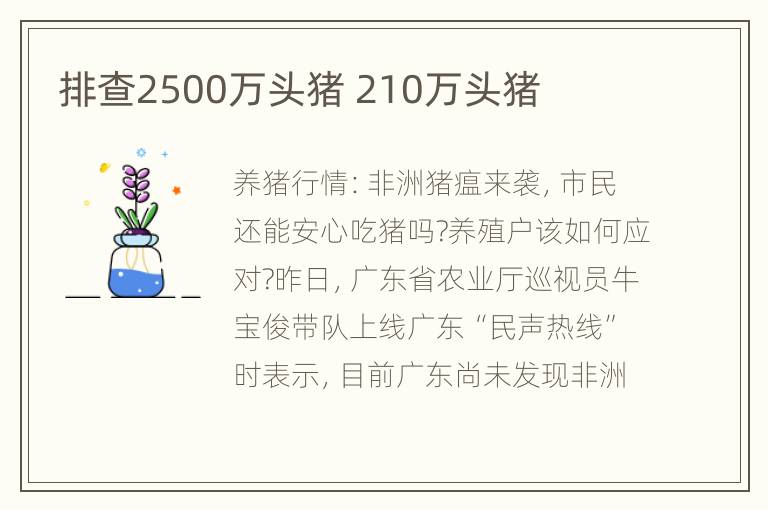 排查2500万头猪 210万头猪