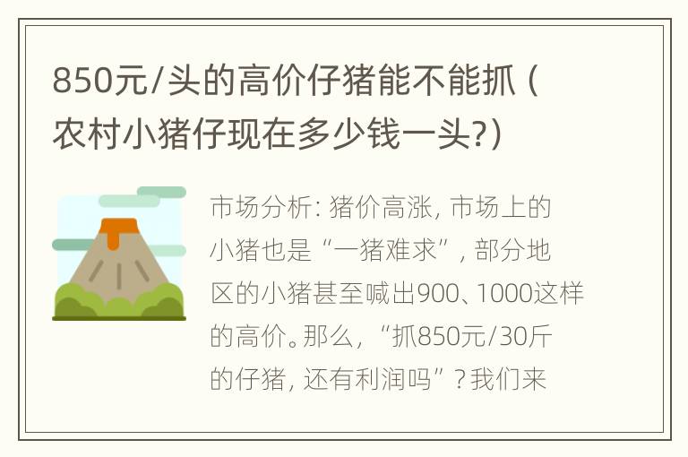 850元/头的高价仔猪能不能抓（农村小猪仔现在多少钱一头?）