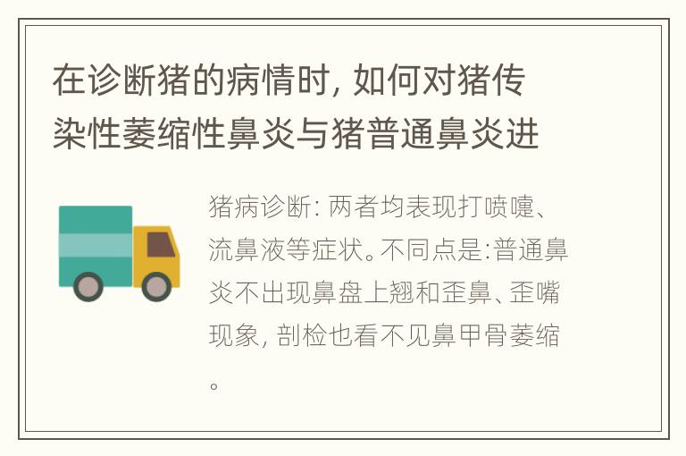 在诊断猪的病情时，如何对猪传染性萎缩性鼻炎与猪普通鼻炎进行鉴