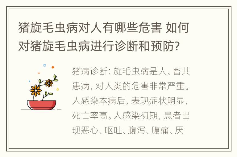 猪旋毛虫病对人有哪些危害 如何对猪旋毛虫病进行诊断和预防?