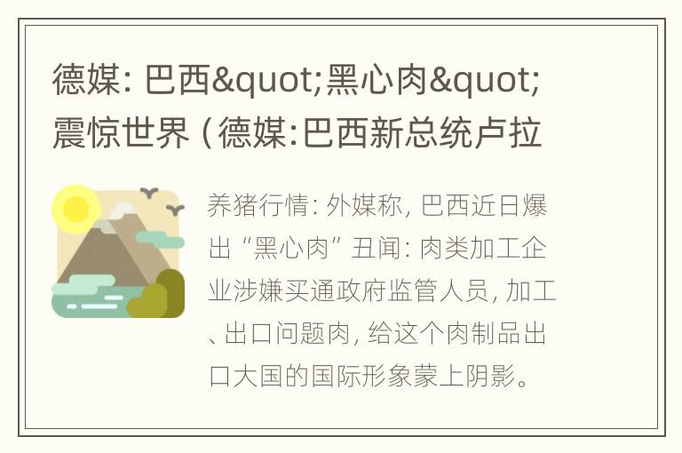 德媒：巴西"黑心肉"震惊世界（德媒:巴西新总统卢拉将参加贝利守灵活动）