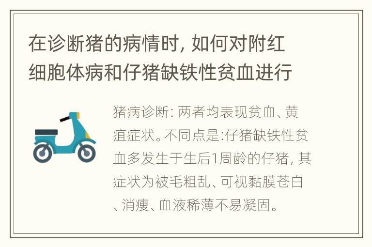 在诊断猪的病情时，如何对附红细胞体病和仔猪缺铁性贫血进行鉴别