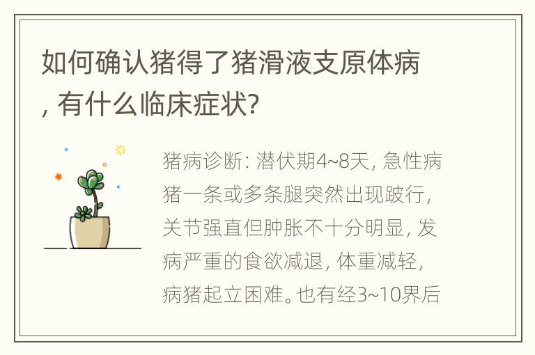 如何确认猪得了猪滑液支原体病，有什么临床症状？