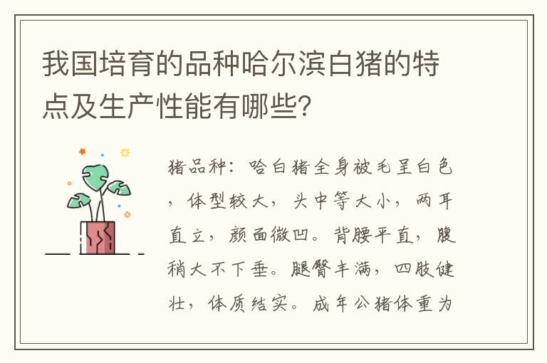 我国培育的品种哈尔滨白猪的特点及生产性能有哪些？