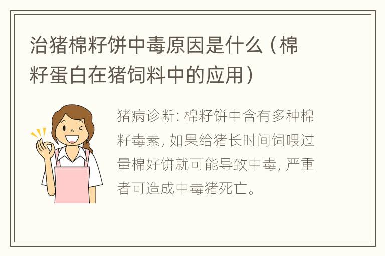 治猪棉籽饼中毒原因是什么（棉籽蛋白在猪饲料中的应用）