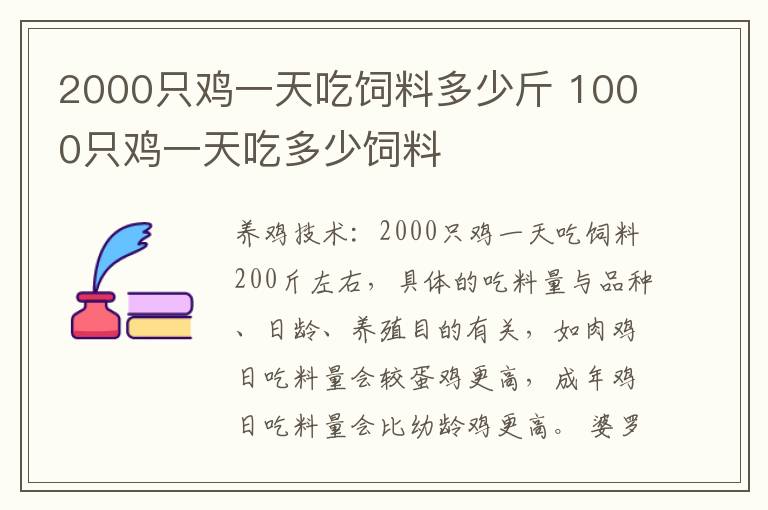 2000只鸡一天吃饲料多少斤 1000只鸡一天吃多少饲料