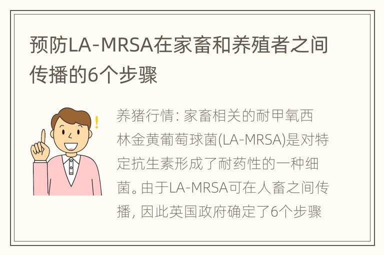 预防LA-MRSA在家畜和养殖者之间传播的6个步骤