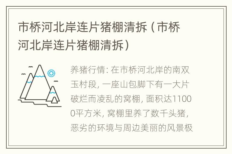 市桥河北岸连片猪棚清拆（市桥河北岸连片猪棚清拆）