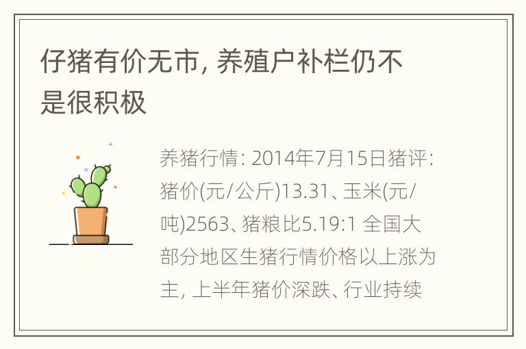 仔猪有价无市，养殖户补栏仍不是很积极