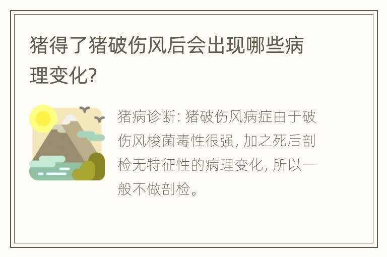 猪得了猪破伤风后会出现哪些病理变化？