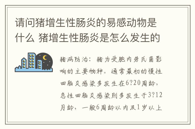 请问猪增生性肠炎的易感动物是什么 猪增生性肠炎是怎么发生的?